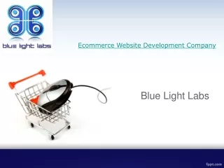 E-Commerce Development Company | Blue Light Labs
