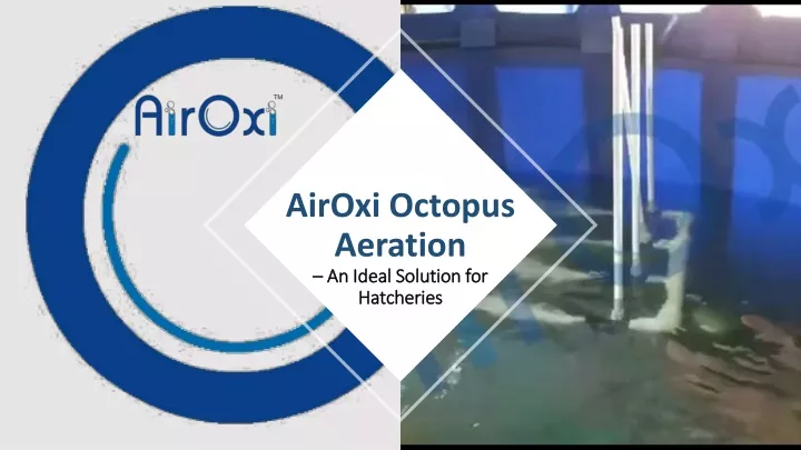 airoxi octopus aeration an ideal solution