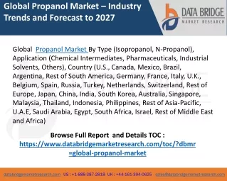 global propanol market industry trends