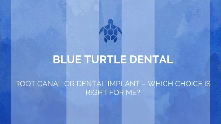blue turtle dental root canal or dental implant
