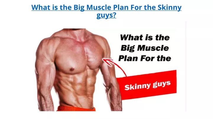 what is the big muscle plan for the skinny guys