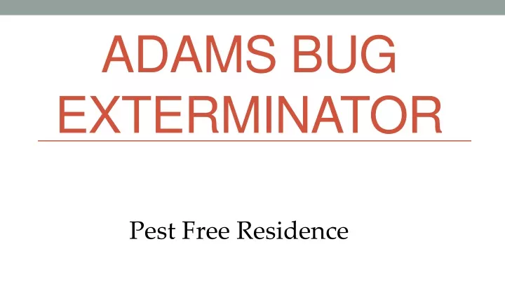 adams bug exterminator