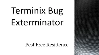 Terminix Bug Exterminator