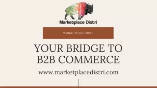 E-Commerce Website Development Services - Marketplace Distri