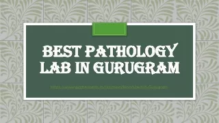 best pathology lab in gurugram
