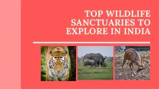 Top Wildlife Sanctuaries To Explore In India