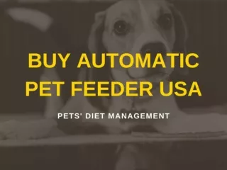 Buy Automatic Pet Feeder USA