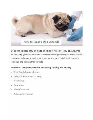 dogs will be dogs only owing to all kinds