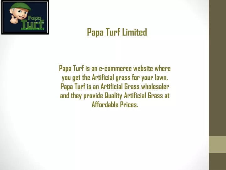 papa turf limited