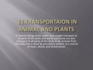 Chapter 11.Transportation in animals and plants