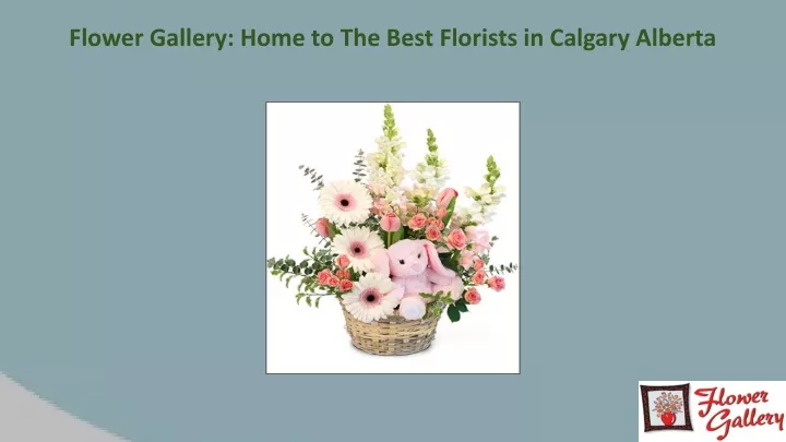 flower gallery home to the best florists
