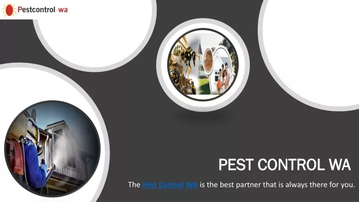 pest control wa