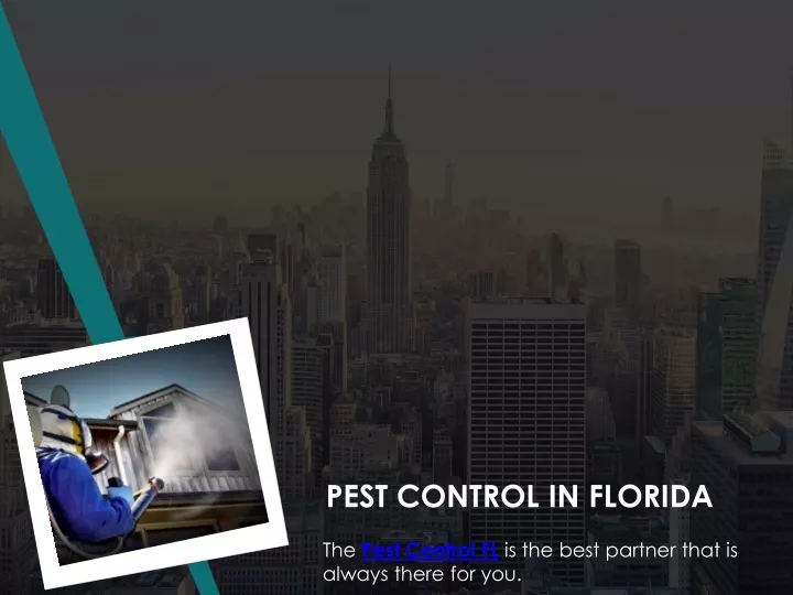 pest control in florida