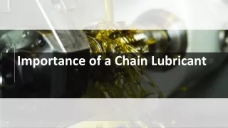 importance of a chain lubricant