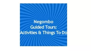 Negombo guided tours activities and things to do