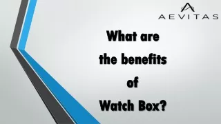 Excellent and High-quality Watch Box | Aevitas