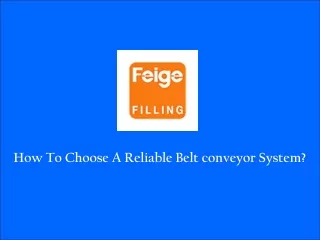 Reliable Belt Conveyor System