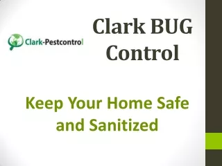 clark bug control
