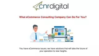 What eCommerce Consulting Company Can Do For You