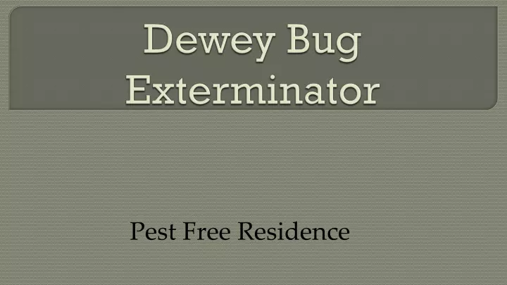 dewey bug exterminator