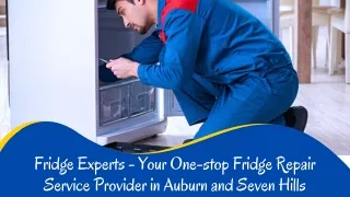 Fridge Experts - Your One-stop Fridge Repair Service Provider in Auburn and Seven Hills