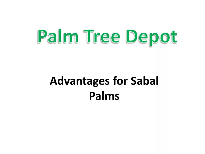 advantages for sabal palms