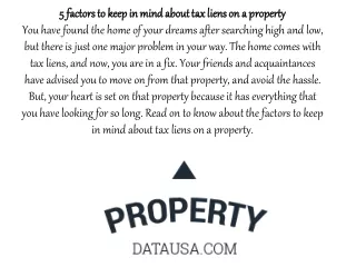 5 Factors To Keep In Mind About Tax Liens On A Property