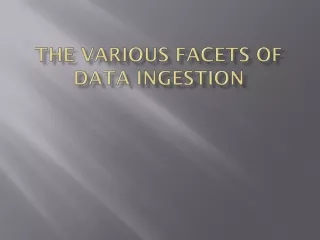 The Various Facets of Data Ingestion