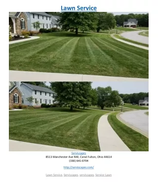 lawn service