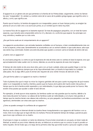 14 puntos interesantes sobre los agapornis fischer - 1 - 102-65