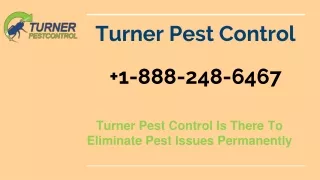 Turner Pest control