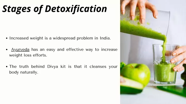 stages of detoxification