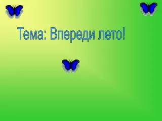 Впереди лето
