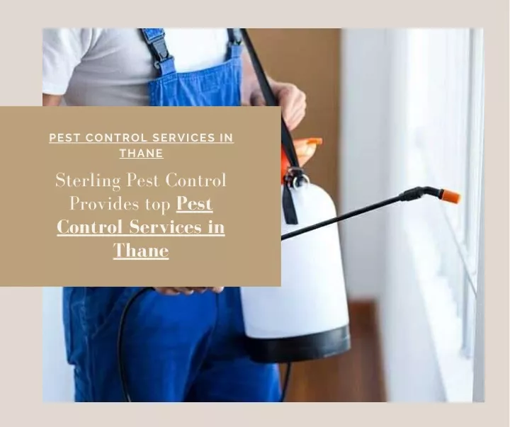 pest control services in thane