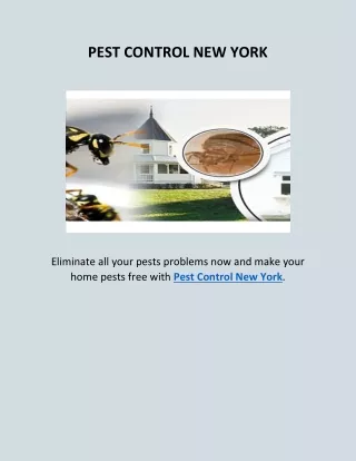 pest control new york
