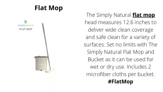 flat mop