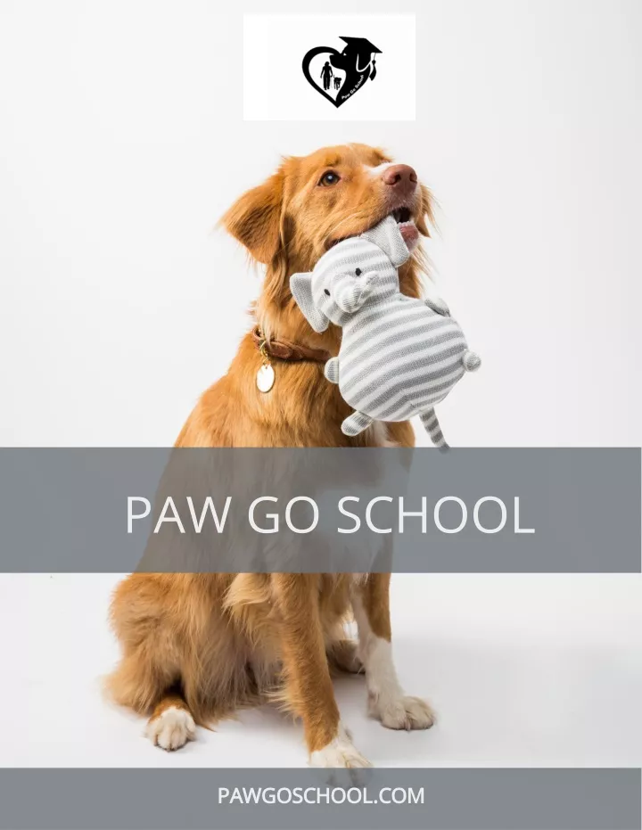 paw go school