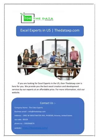 Excel Experts in US