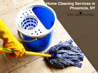 Home Cleaning services in Phoenicia, NY