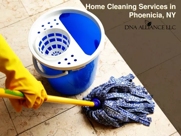 home cleaning services in phoenicia ny