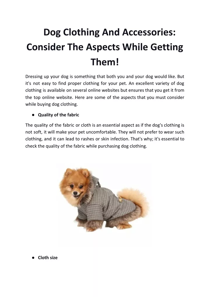 dog clothing and accessories consider the aspects