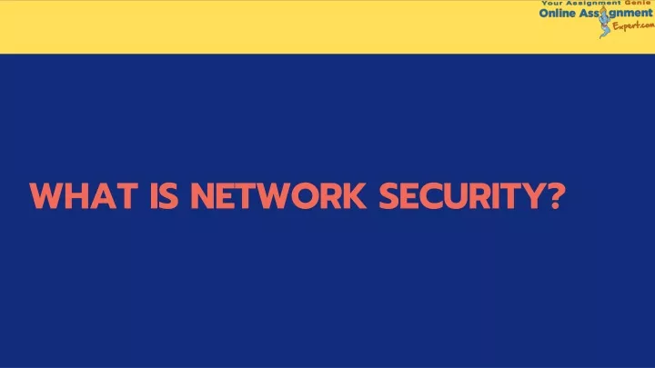 what is network security