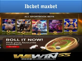 ibcbet maxbet