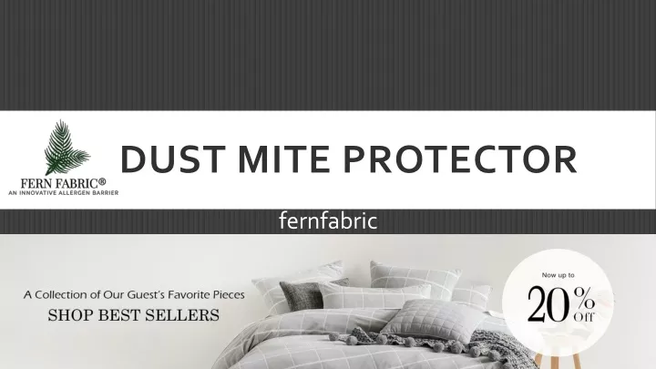 dust mite protector