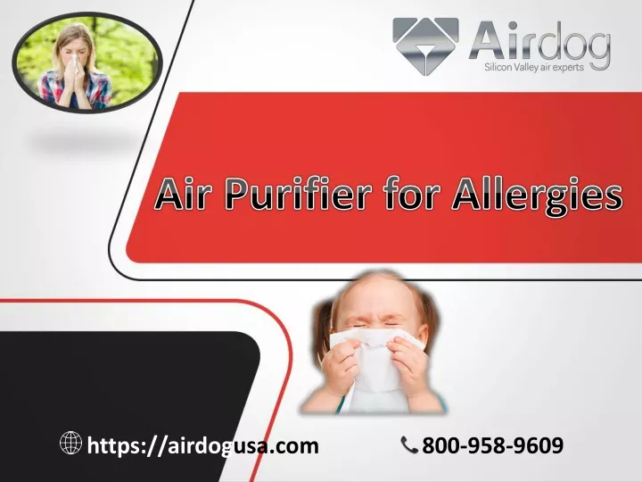 air purifier for allergies