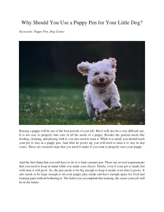 why should you use a puppy pen for your little dog