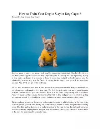 how to train your dog to stay in dog cages