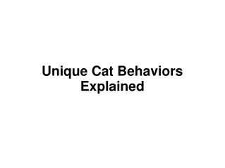 4 Unique Cat Behaviors Explained