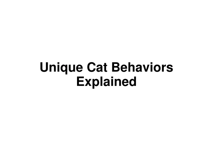unique cat behaviors explained
