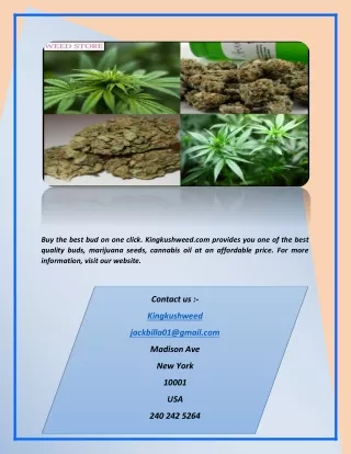 Bud for sale | Kingkushweed.com